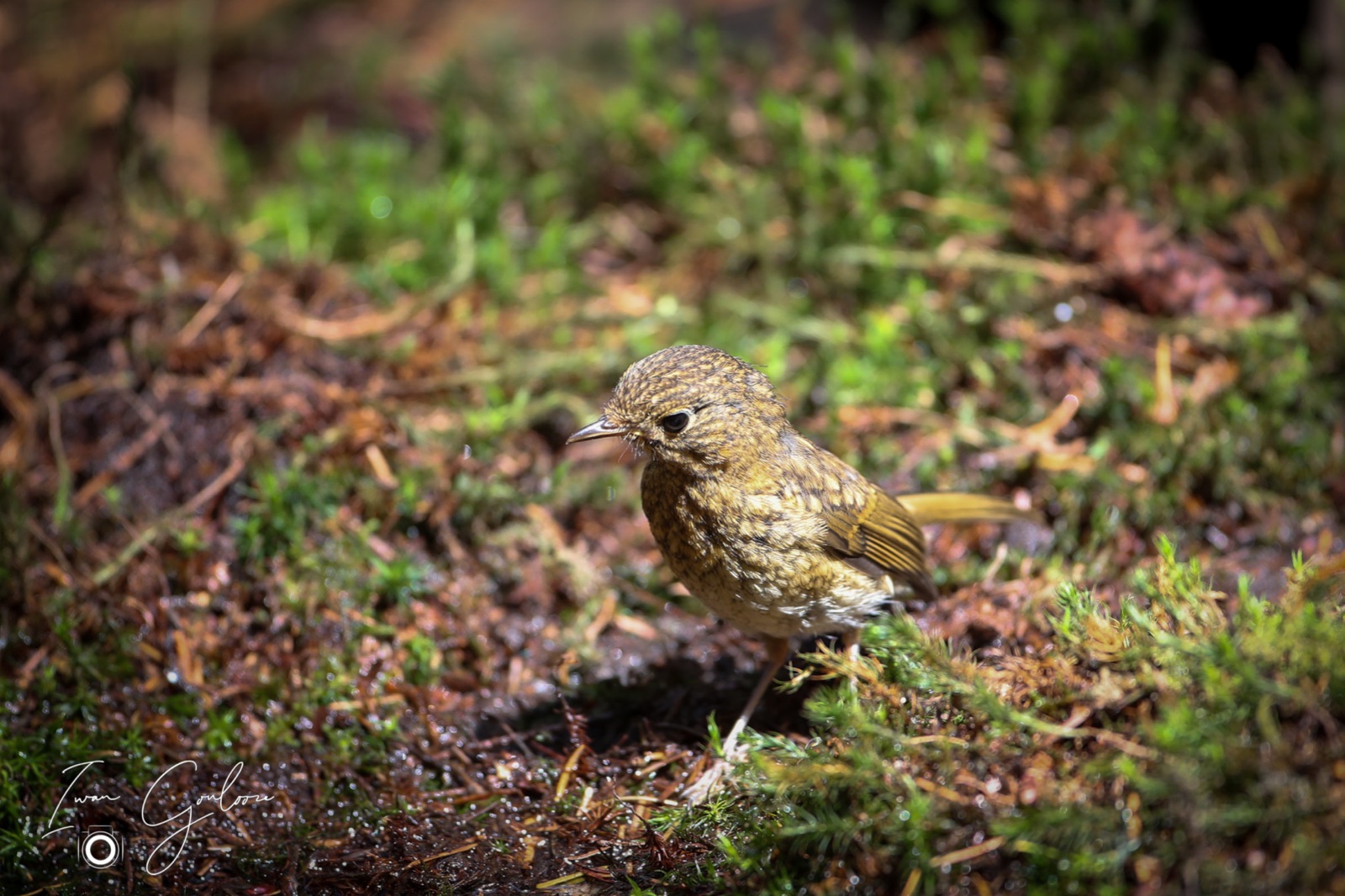 12 juni 2022 160545 1DX47186